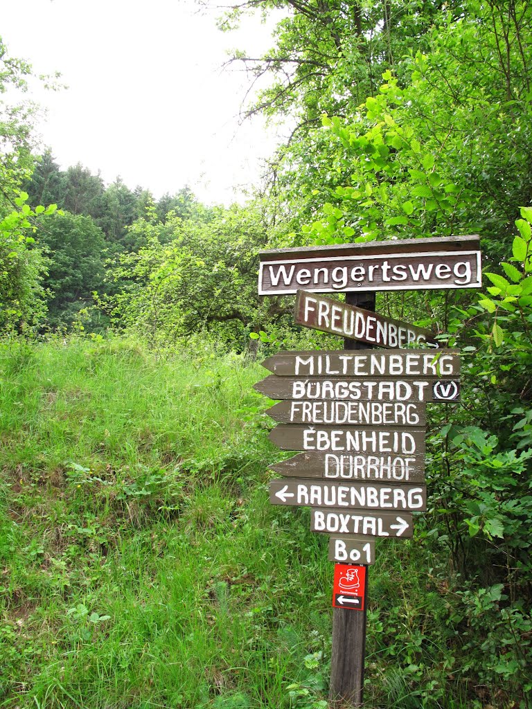 Boxtal, Wengertsweg: Schilderwald - Wanderwege durch den Großen Wald by lebola