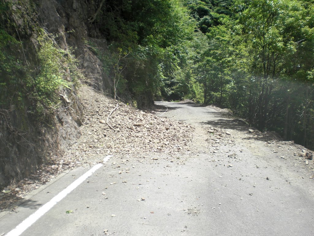 和歌山県道29号線　狭路区間 by 三角野朗