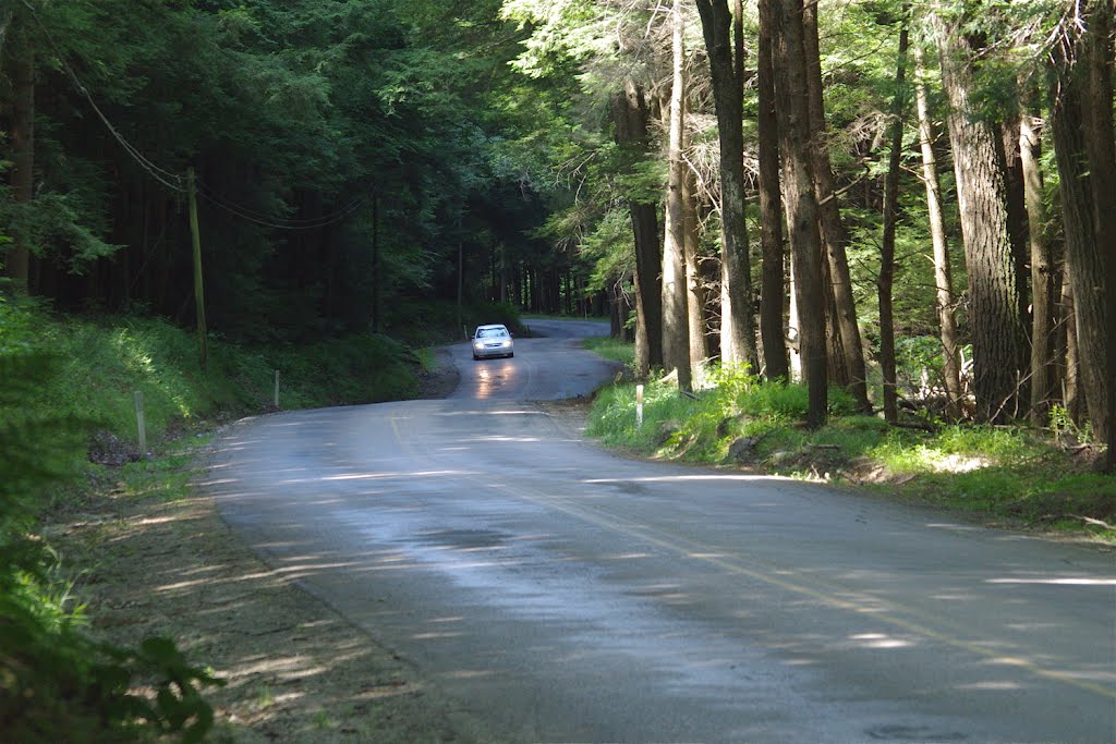 Fisher Road by tdistefano