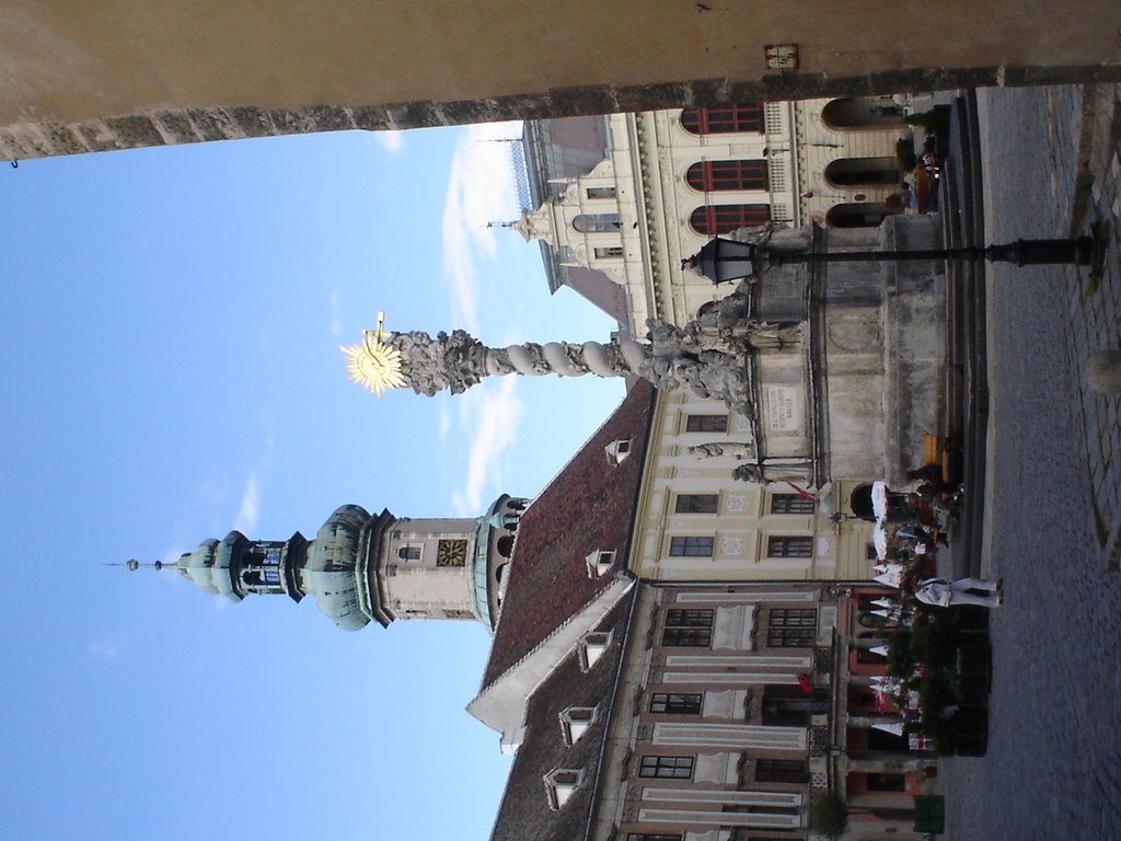 Főtér - Szentháromság szobor by buswalker