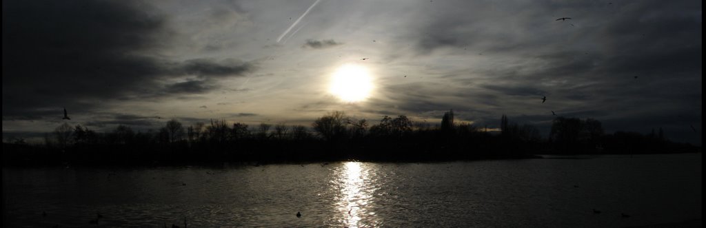 Panorama Vögel im winterlichen Sonnenuntergang by bananenbaer