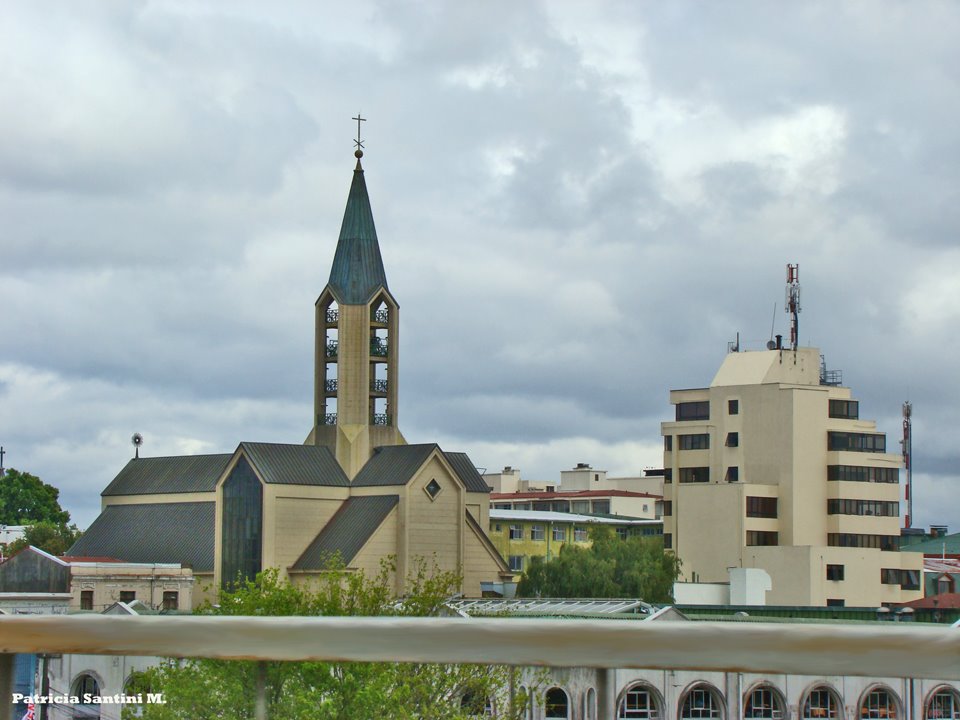 Valdivia, Chile by Patricia Santini