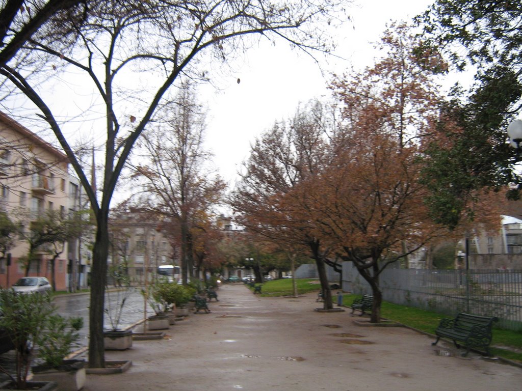 Parque Bustamante, lloviendo, vista hacia el sur by frguerre