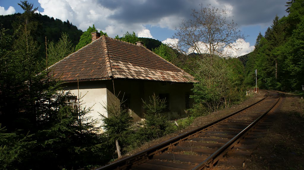 Domček pri trati by Ľudo Deržák