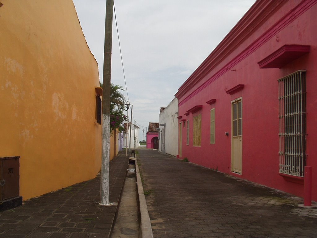 Hacia el rìo, Tlacotalpan by Efren Rosiles