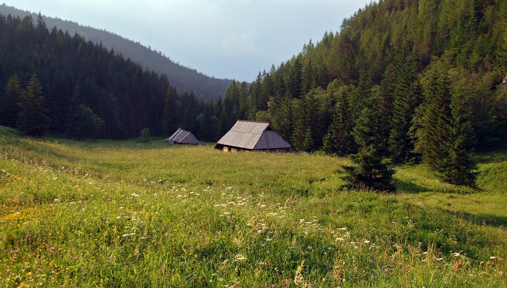 Tatry-Dolina Jaworzynki by cezary.wagner