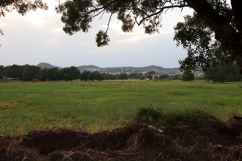 Hyères Countryside by Scott Long