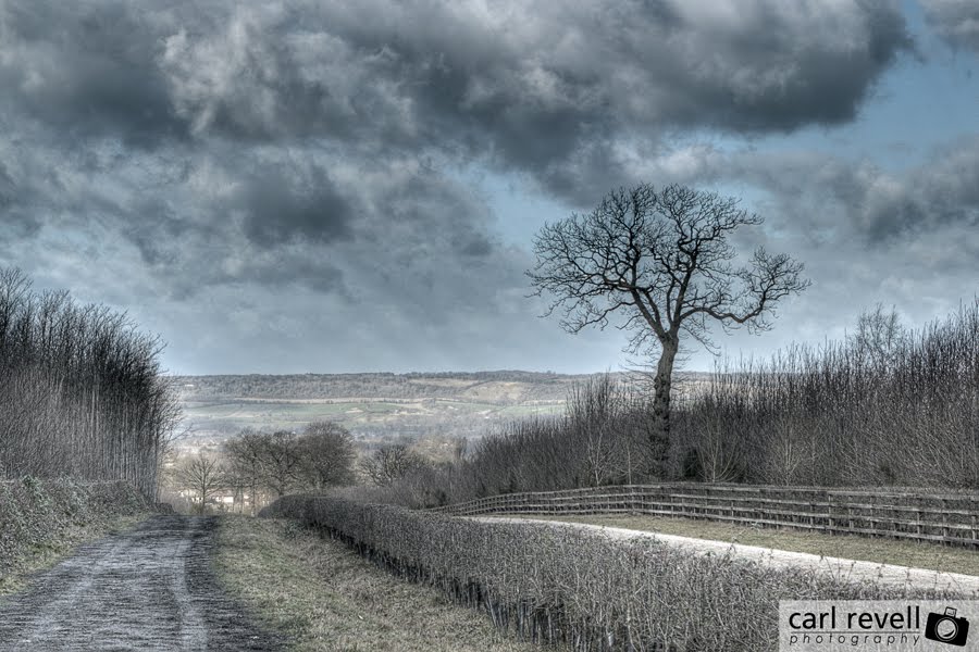 The Gallop at Barming, Kent by Sprogz