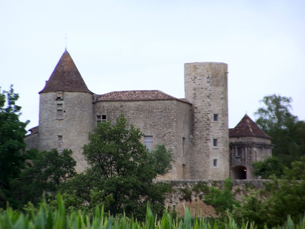 Pellegrue Château du Puch de Gensac by hpjps