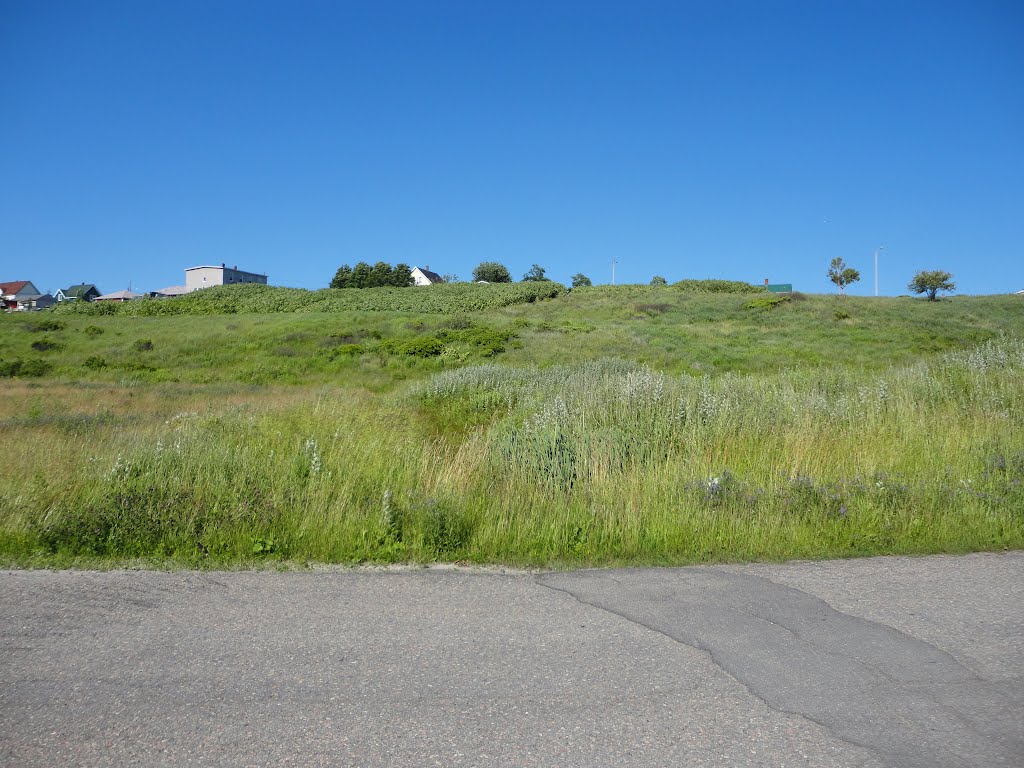 Grass Hills view from Railway Street by Frankie MacDonald