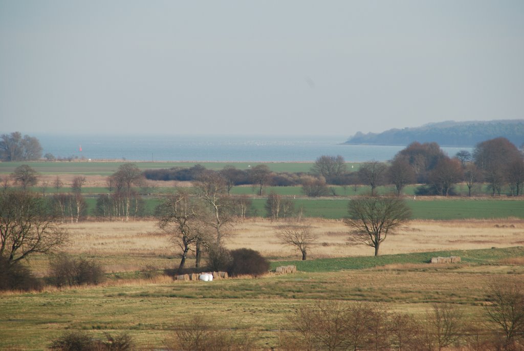 Ausblick zum Bodden by matsailing