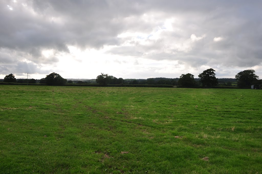 Mid Devon : Grassy Field by A Photographer