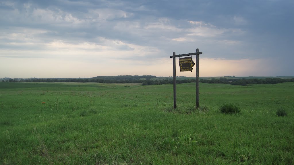 Anderson State Prairie Preserve outside of Estherville IA by mollycatgo