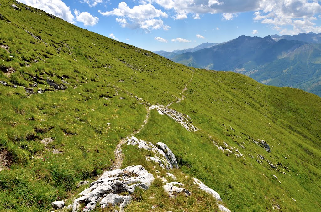 Il sentiero raggiunge la displuviale (2070 m) tra Vallone Armellina e Comba Sottana by violapinnata