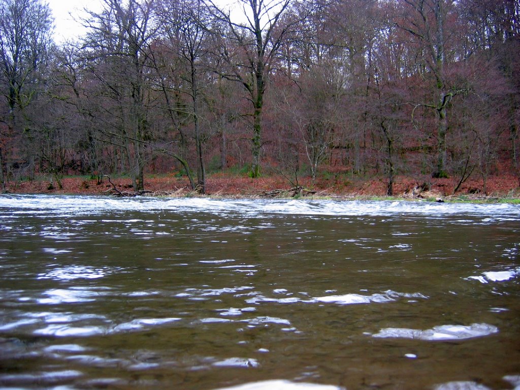 De mooie Ourthe in de winter by Tampert