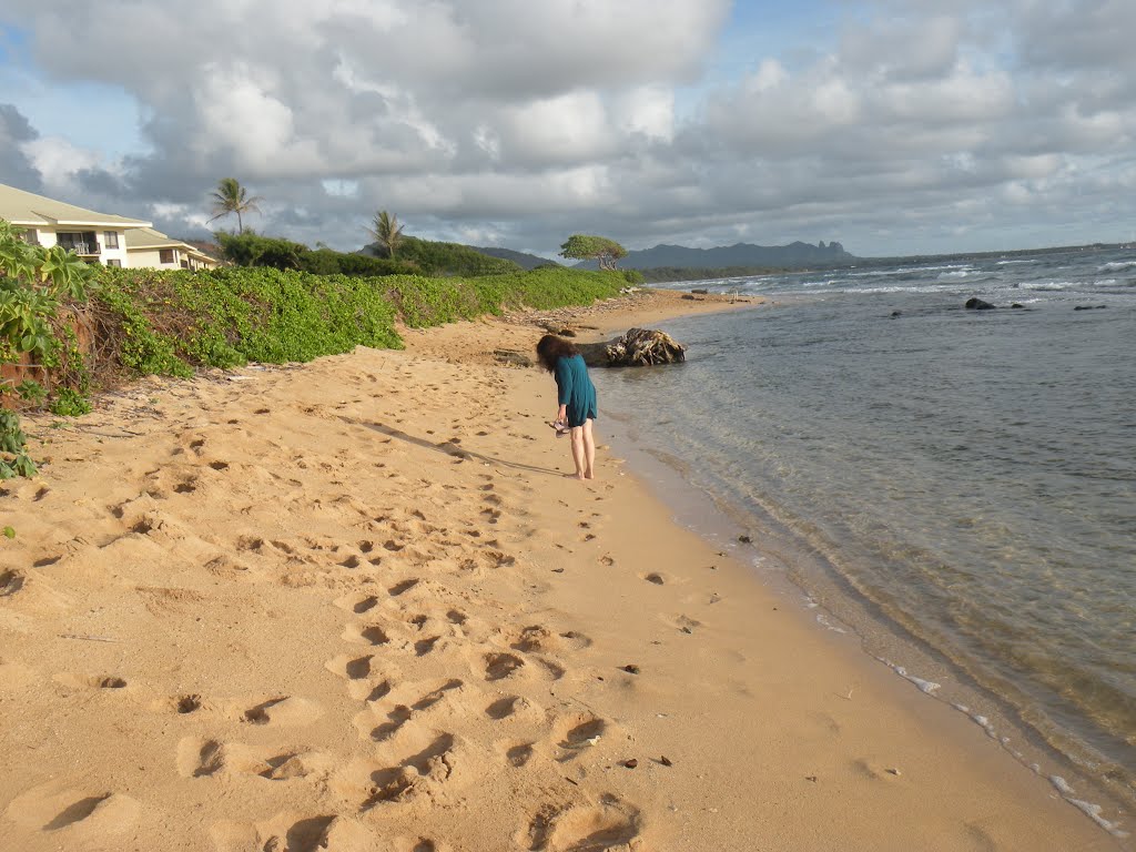 Kauai Beach Resort by ryandenver