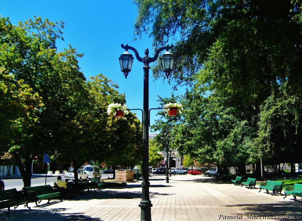 Plaza de Armas, Talca by Pamelaimágenes