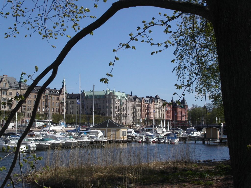 Summer over Strandvägen by scottchristiansen