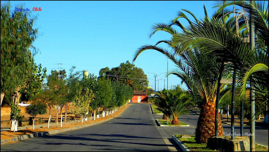 ► Calle en Marchigüe ® by ►DisfrutaChile ®