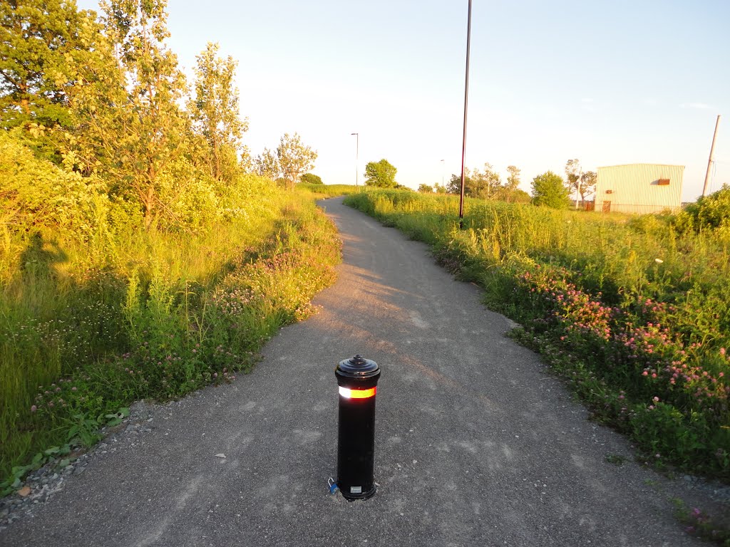 New Trail Bypassing Whitney Pier by Frankie MacDonald