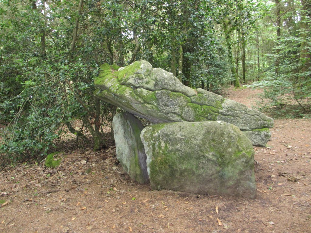 Dolmen de Menez-Liaven à Pluguffan (Finistère) by plonevez