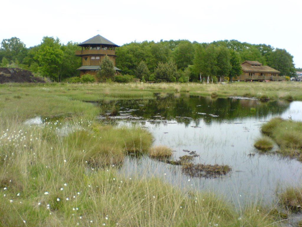 Haus im Moor by Holger Helms