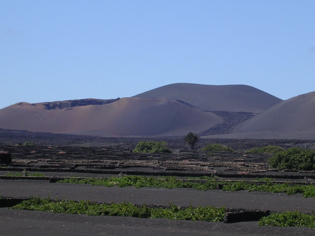 La Geria y rios de lava by Jose Antonio Cuesta …