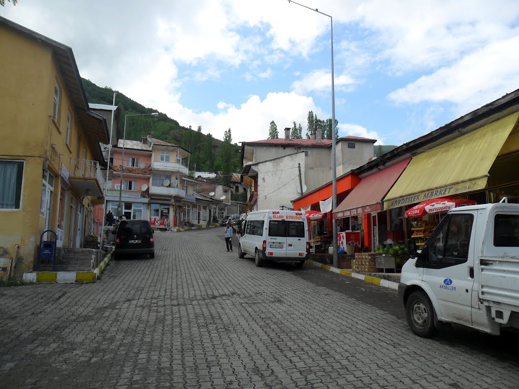 Posof-Ardahan- Türkiye by Bünyamin Ayhan