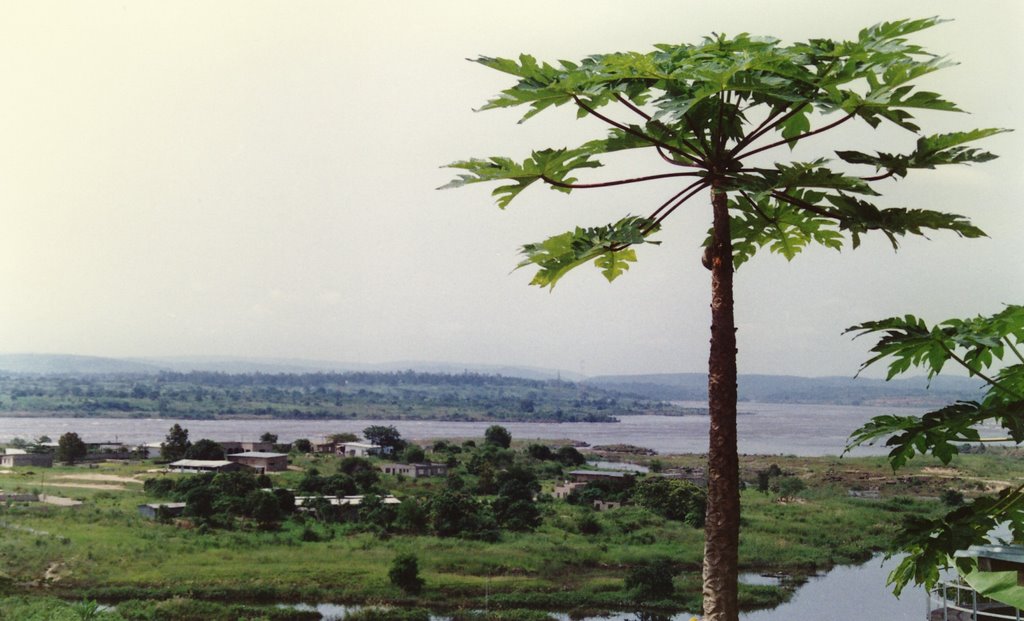 Vue du Djoué by Sybille de B.