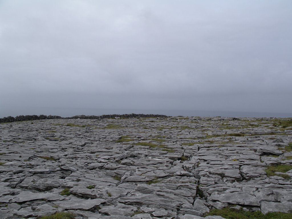 Murrooghtoohy North, Co. Clare, Ireland by dr.weevil