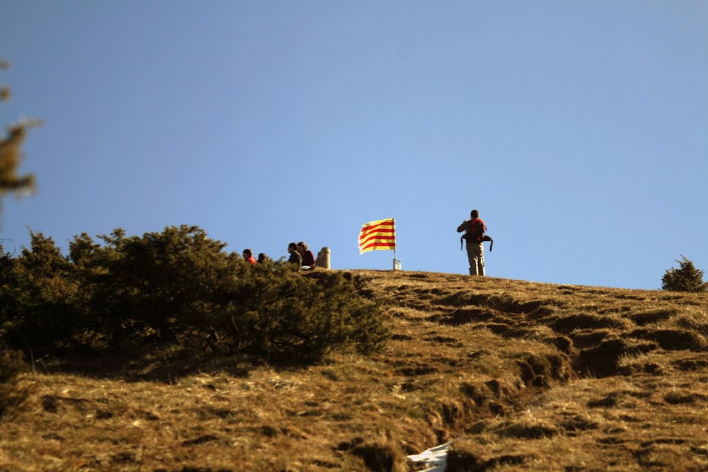 Quasi al Cim del Puigsacalm, Puigsacalm, La Garrotxa, Catalunya, Països Catalans, Europa by TonetStuned