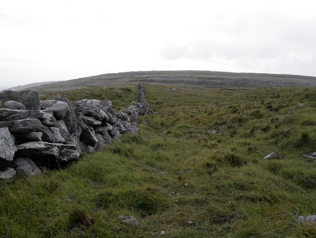 Aghaglinny North, Co. Clare, Ireland by dr.weevil