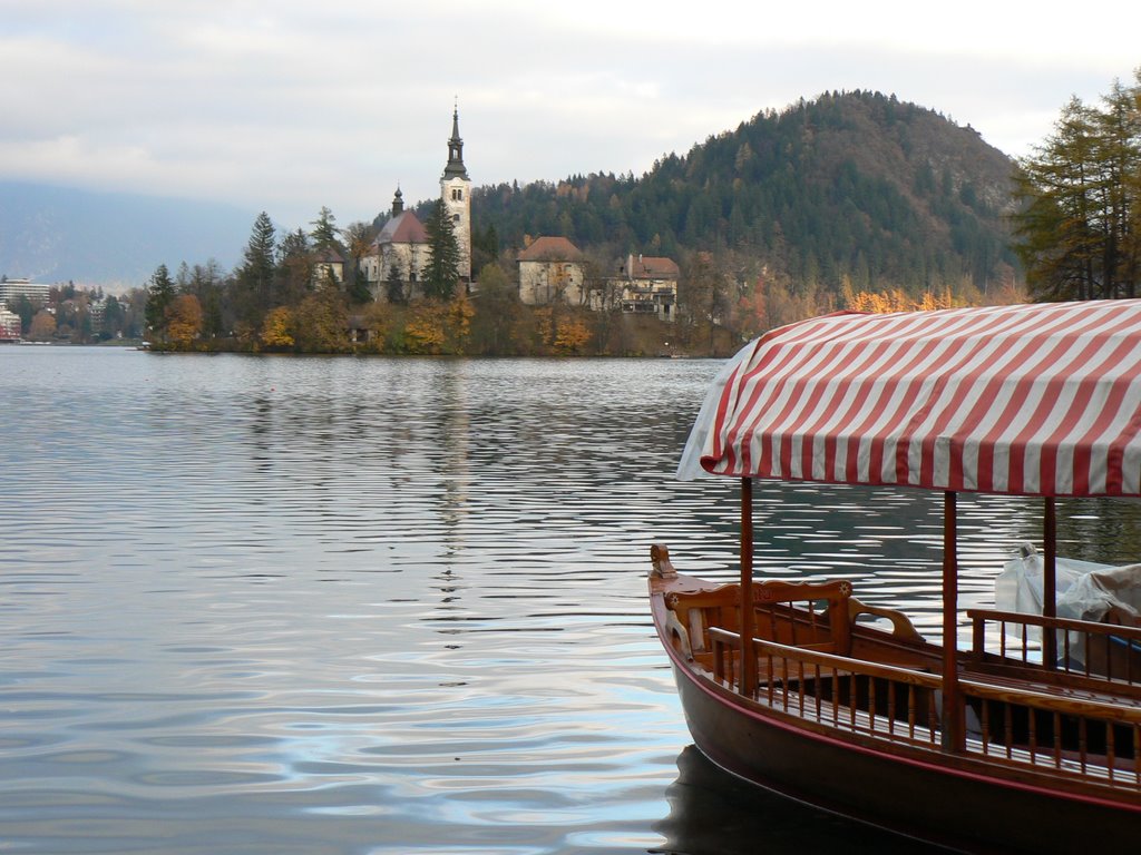 Island on Lake Bled by Matteo Agostinelli