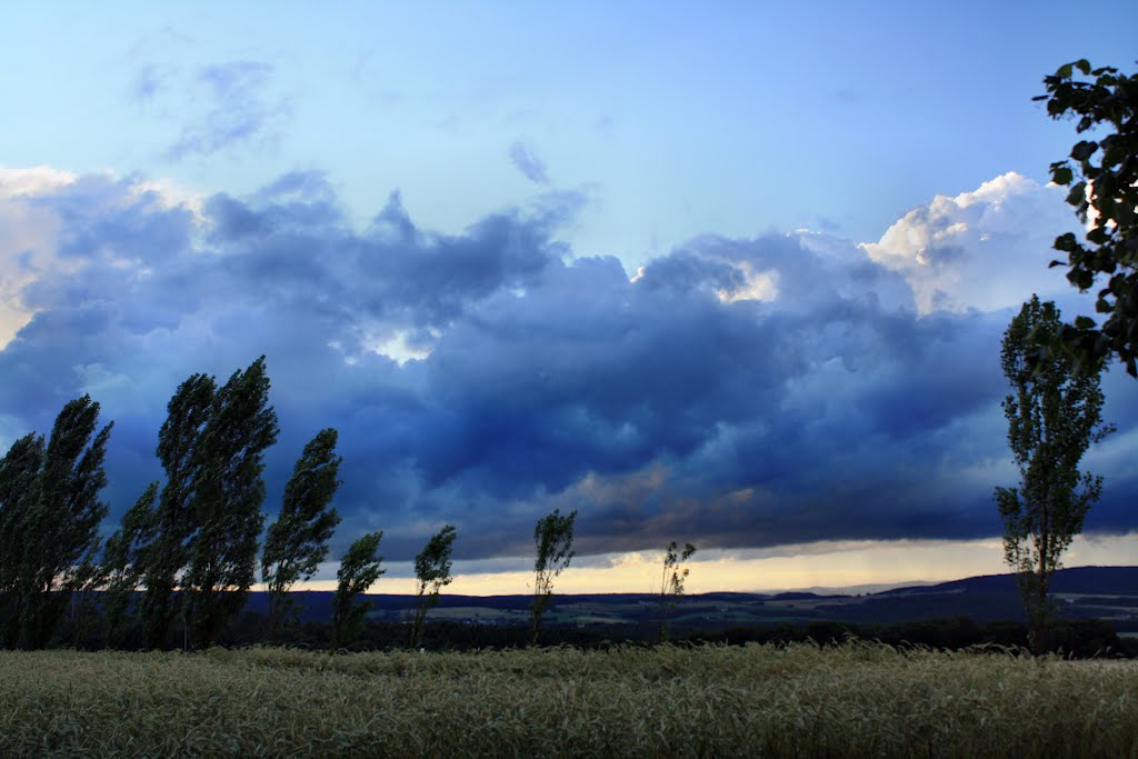 Landschaftsmalerei by oller rainer