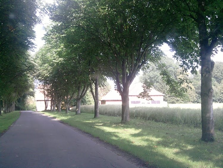 Gut Störtenbüttel im Sommer by Weltbewohner