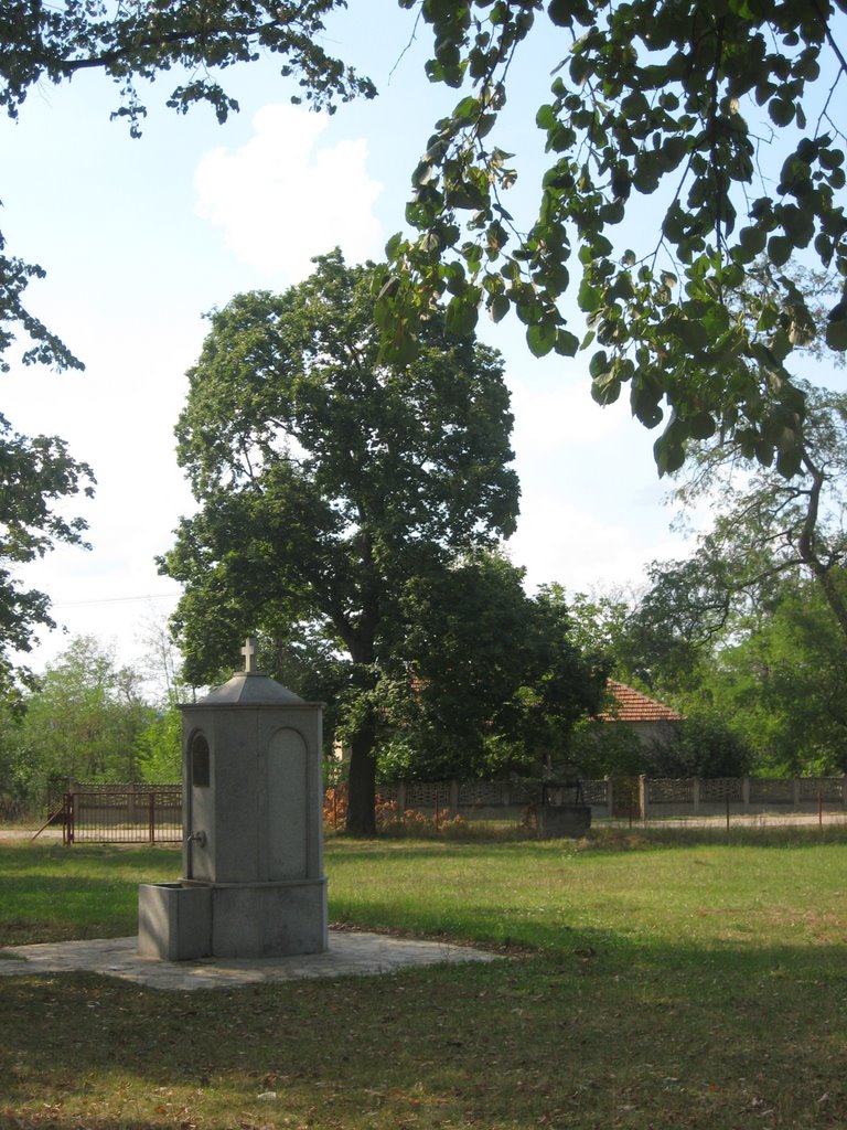 Gornji Adrovac-Česma- Dar Kola srpskih sestara-Niš by Sonja Sofronić