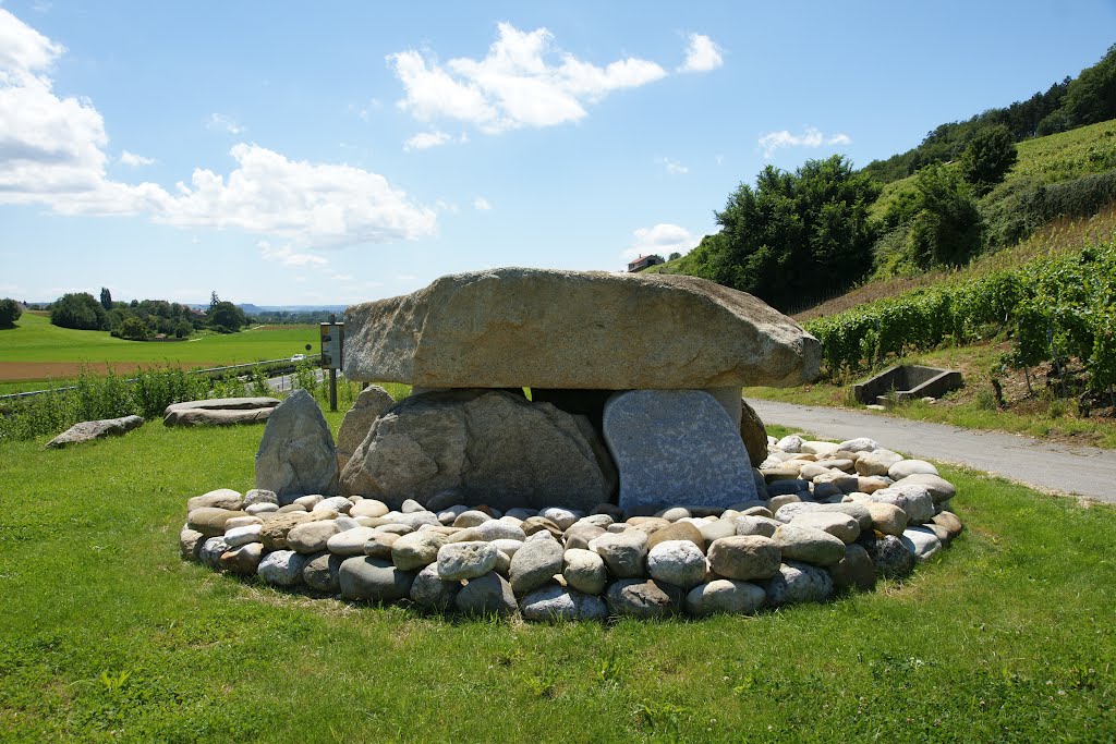 Dolmen Praz Berthoud bei Onnens VD by Roland Wirz