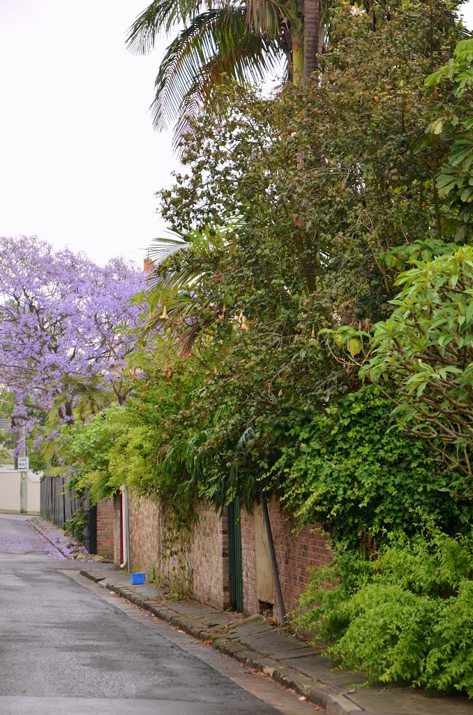 Sydney - Quartier de Paddington (Australie) by Naru Kenji