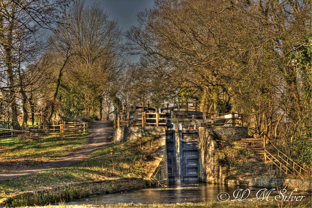 Fourteen Locks by mark silver