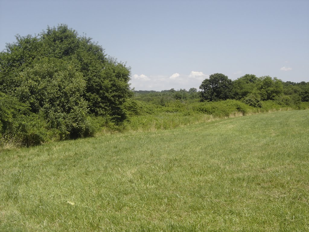 Farmland in July by chris1073