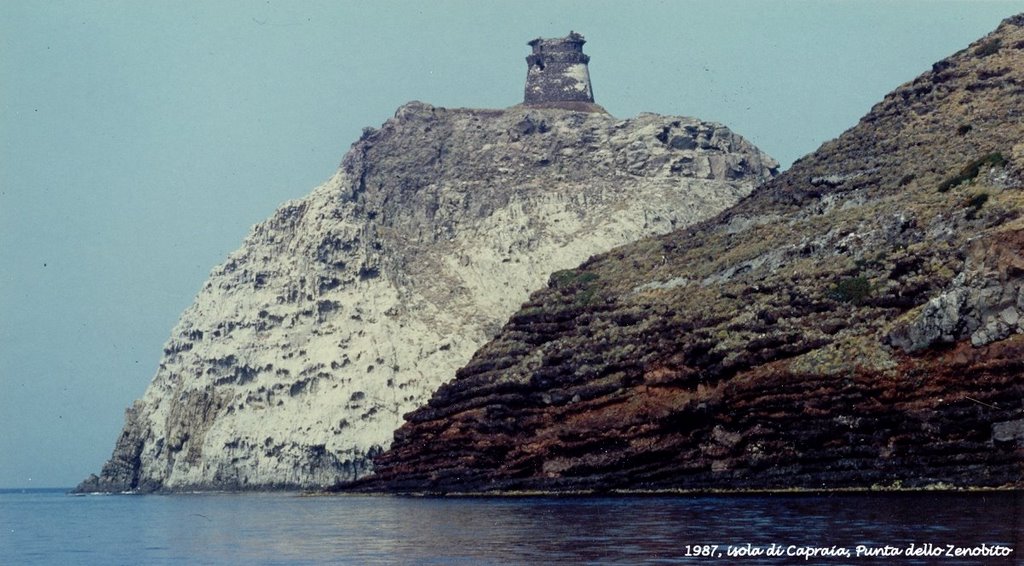 1987, isola di Capraia by Giovanni Mirgovi