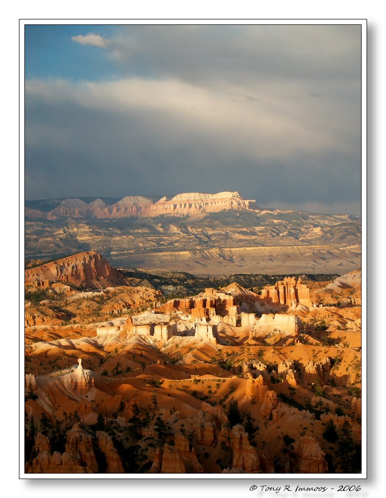 Bryce Canyon Sunset by Tony Immoos