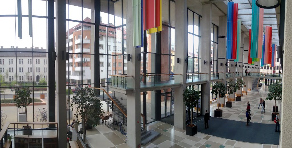 Semmelweis University indoor view by ali farahini