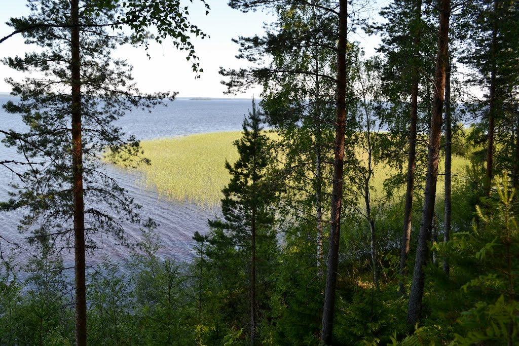 Lake Oulujärvi from Kirkkoniemi (Paltaniemi, Kajaani, 20120707) by RainoL