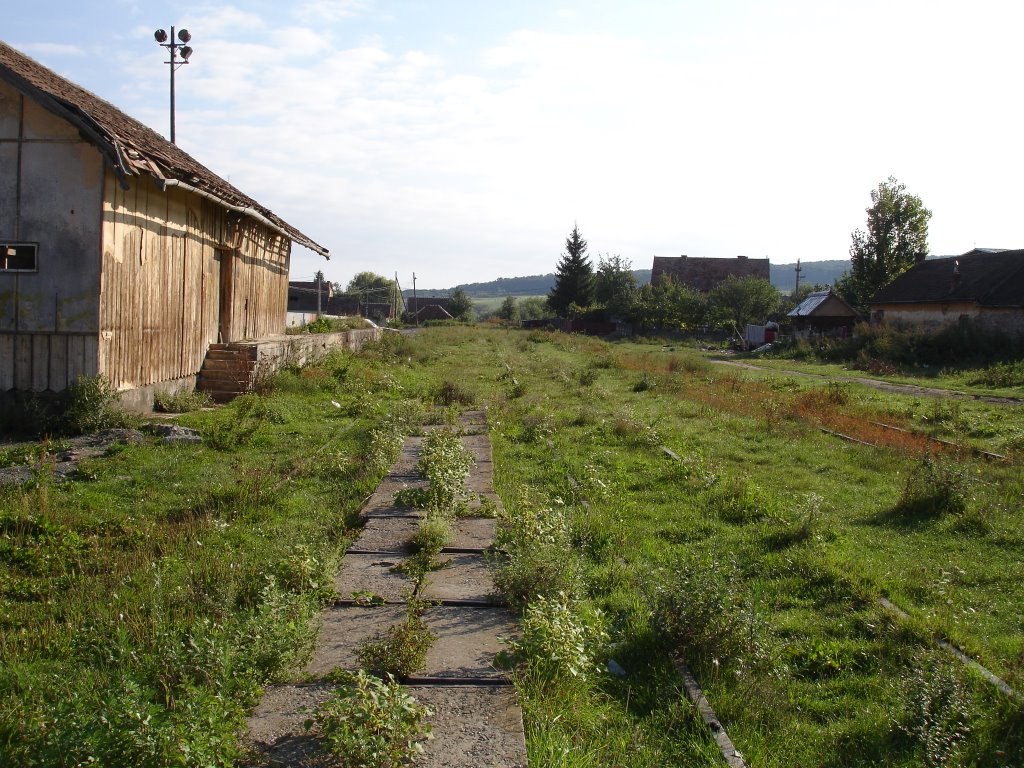 Bahnhof 1 by Funni