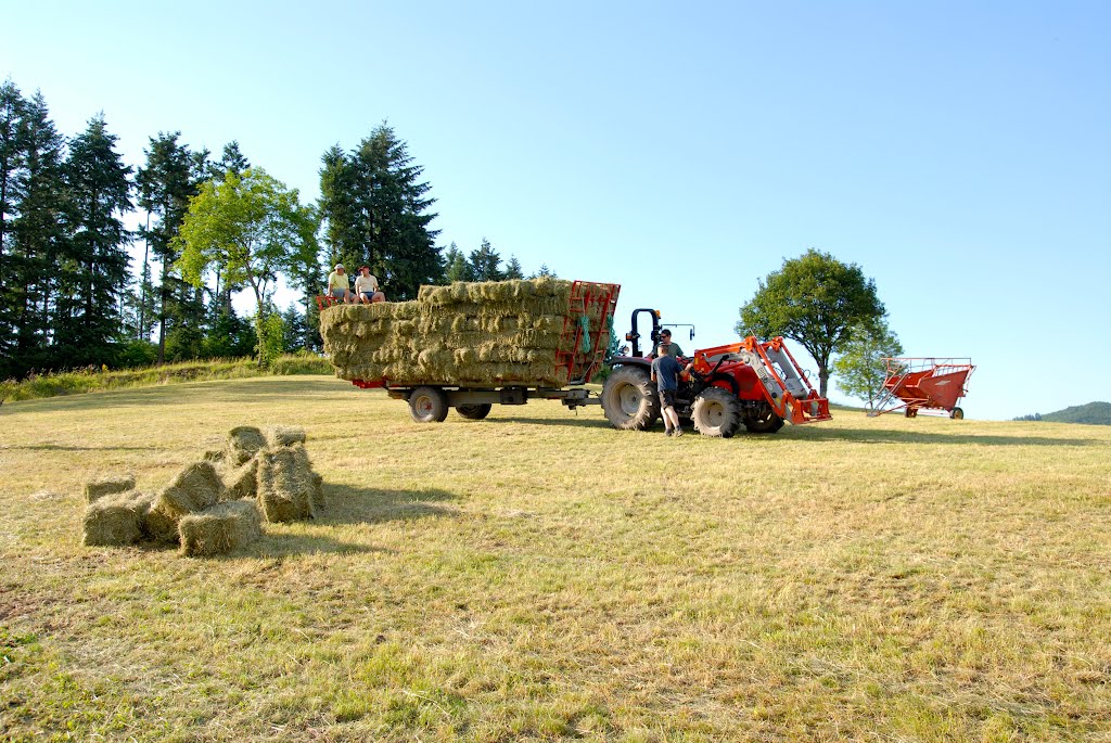 Les foins à Allières by Gilles Durantet