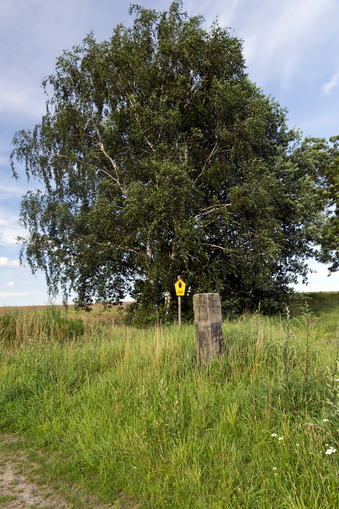 Wegweiser ehemalige Strasse Pirna nach Lohmen by Dirk F