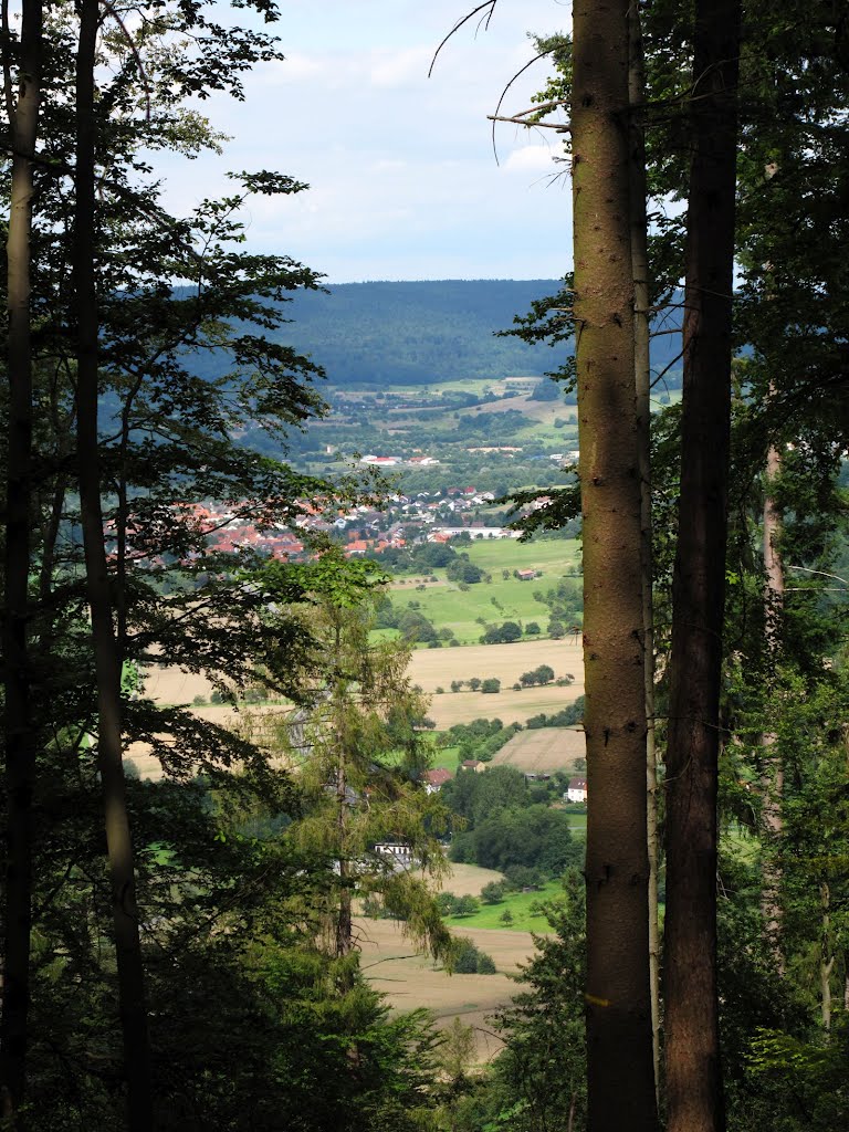 Blick vom Hohenstein ins Maintal by lebola