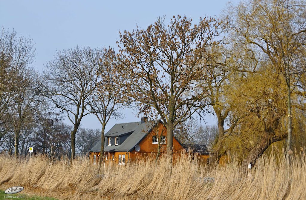 Wooden House - (C) by Salinos_de NI by Salinos