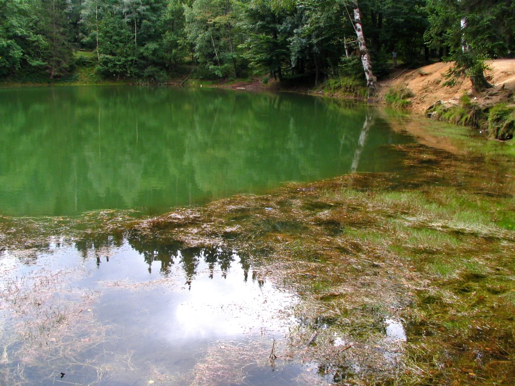 Colorful ponds. by WojtekJ83